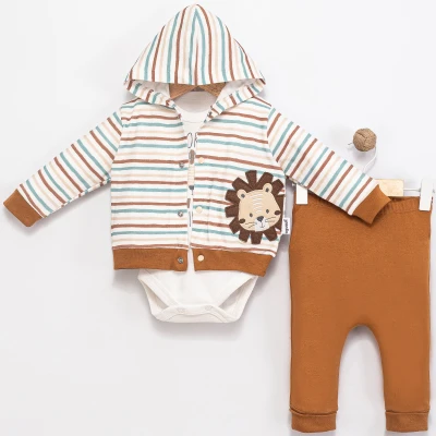 3/9 AY ERKEK ÇİZGİLİ ASLAN NAKIŞLI 3'LÜ TAKIM